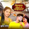 About Dilwa Tohare Ke Chahtate Song